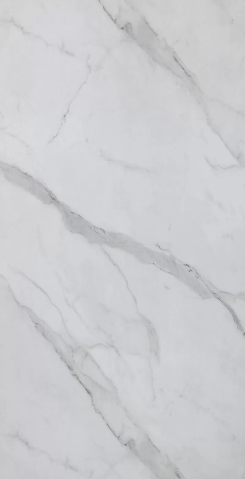 3221-7254 Fish Maw White