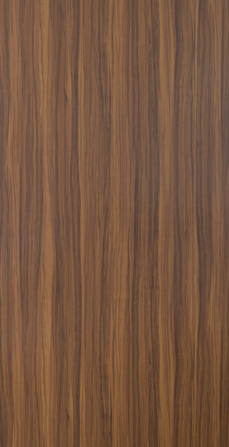 8030-5481 Olive wood
