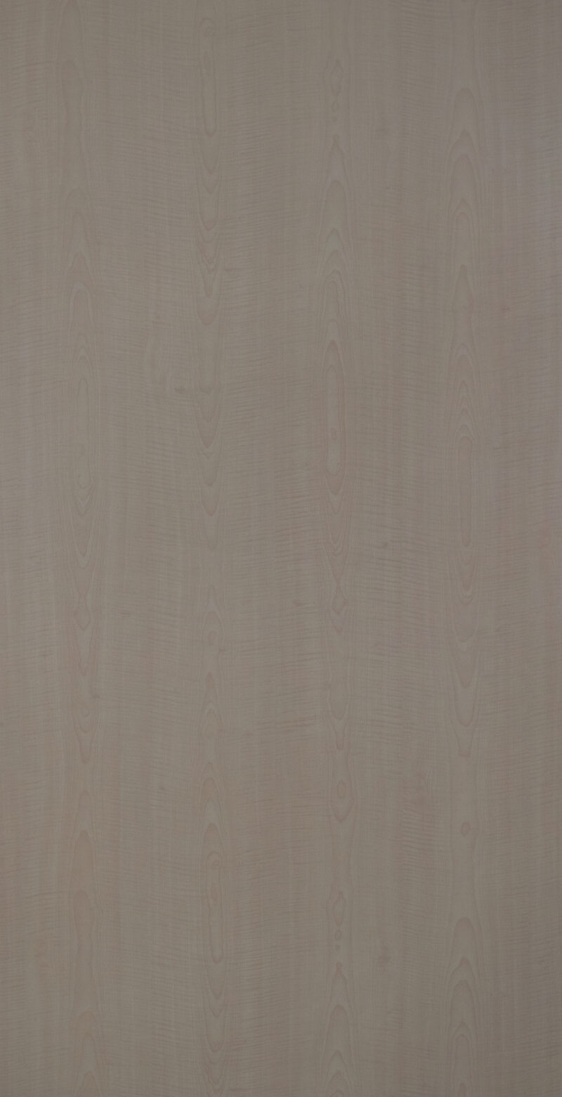 8056-1143 Mizuho Sika Lemon