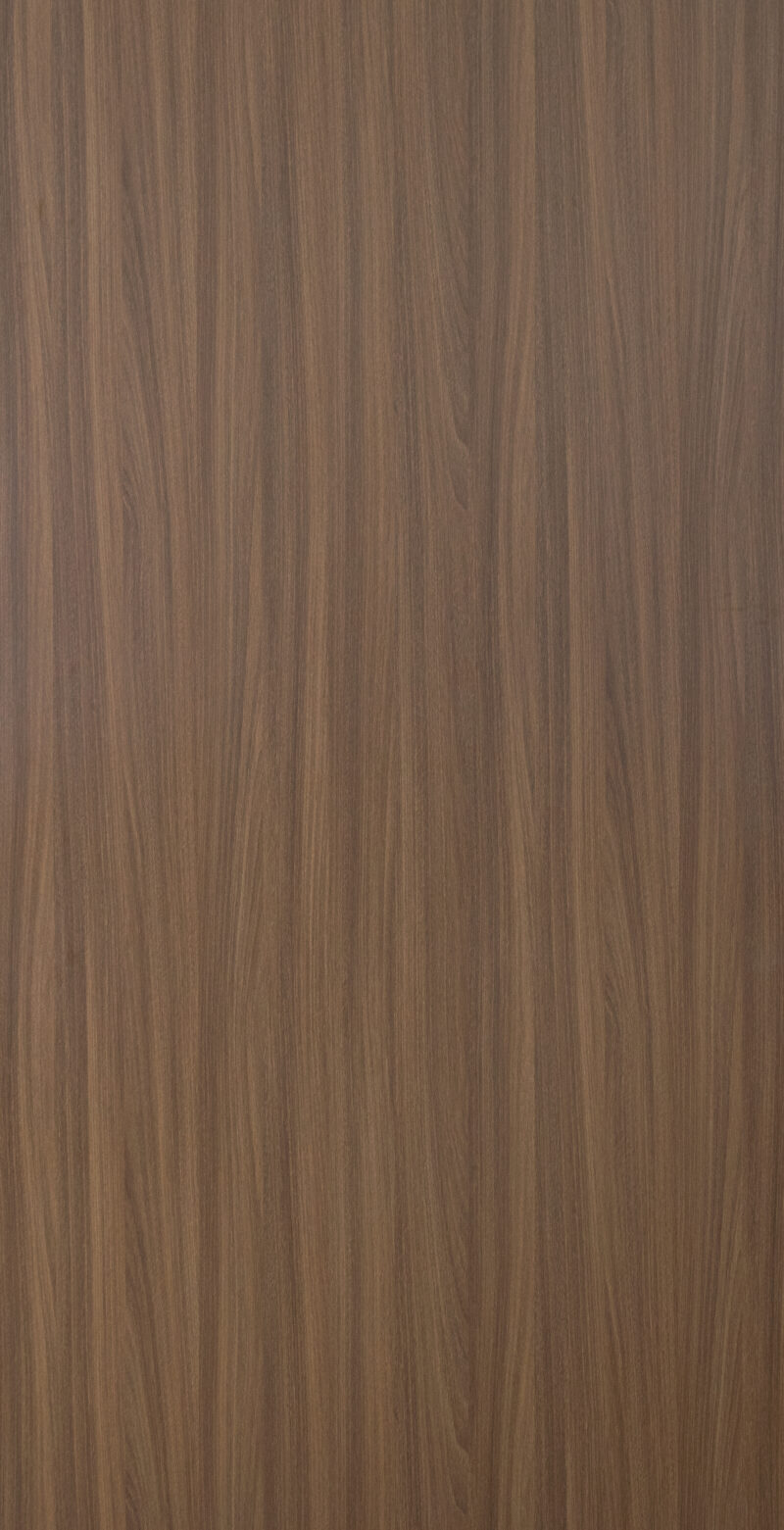 8165-8846 Eucalyptus naturalis